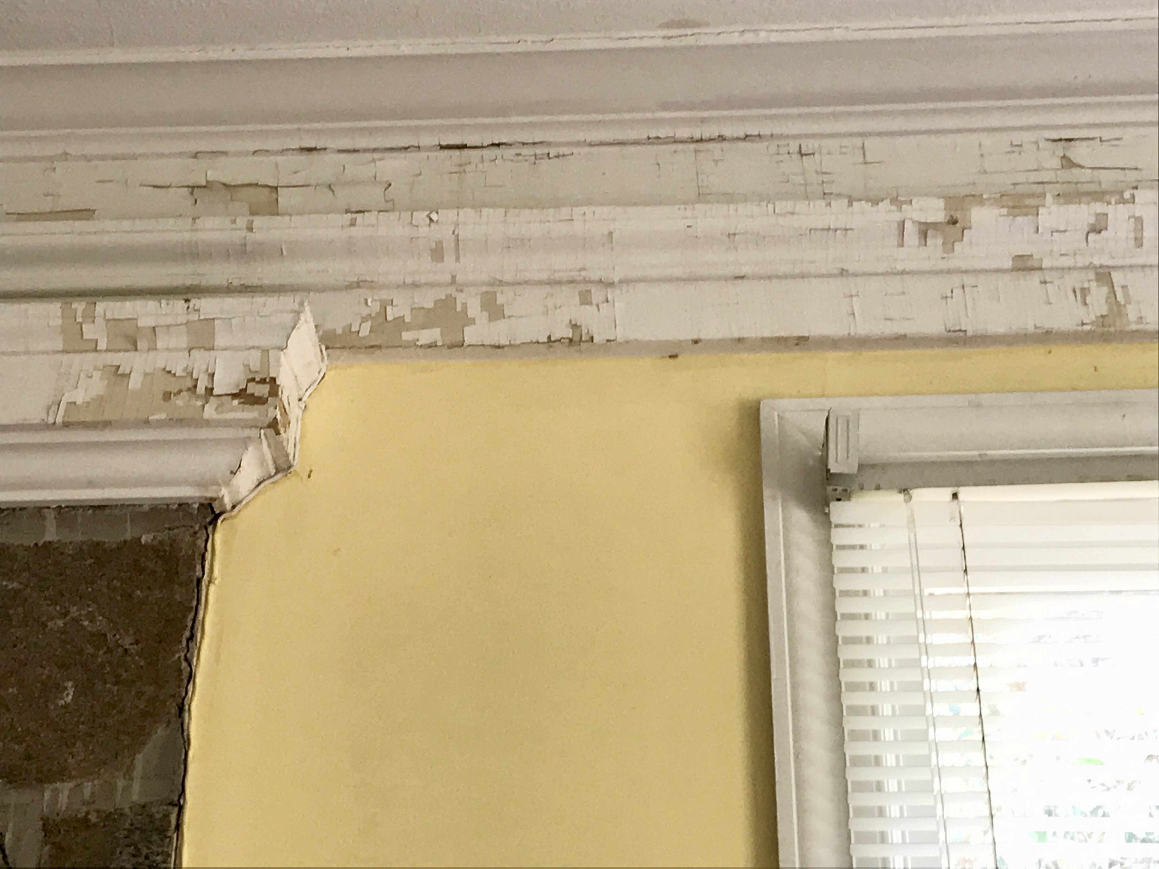 Help the Oblate Sisters of the Most Holy Eucharist Repair Their Home