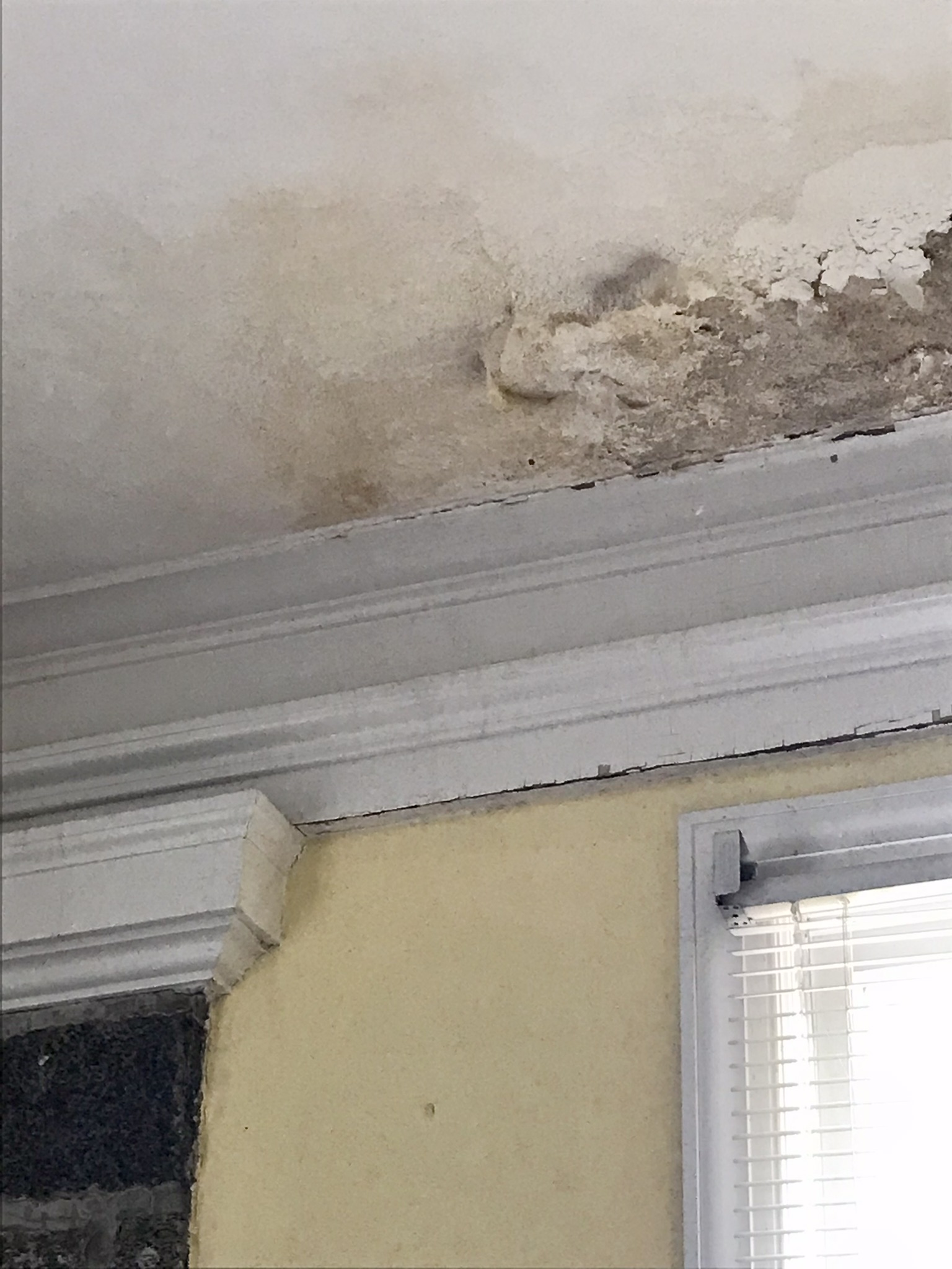 Help the Oblate Sisters of the Most Holy Eucharist Repair Their Home